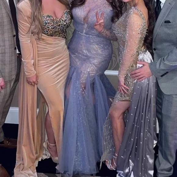 Tarik Ediz 96043 Illusion Long Sleeve Lace Bodice Tulle Mermaid Gown - Picture 3 of 12